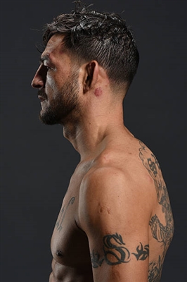 Cub Swanson poster