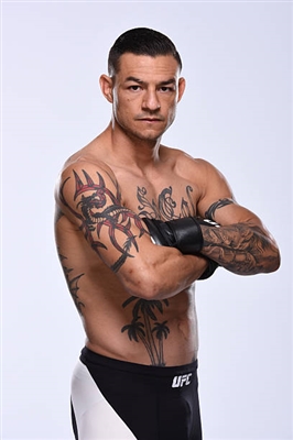 Cub Swanson poster