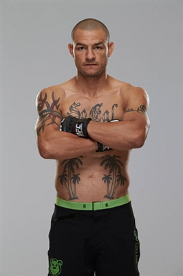 Cub Swanson poster