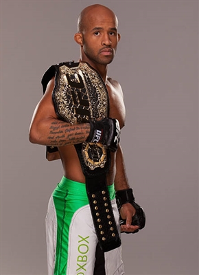 Demetrious Johnson poster