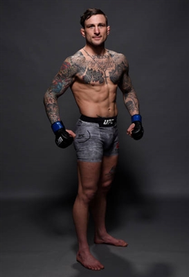 Derek Brunson poster