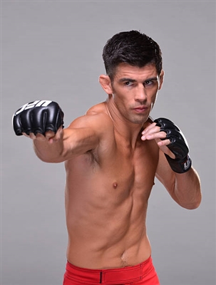 Dominick Cruz poster