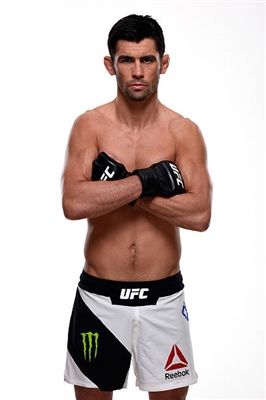 Dominick Cruz poster