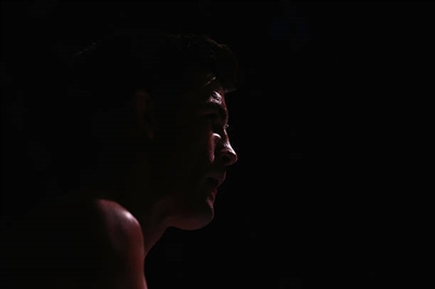 Dominick Cruz poster