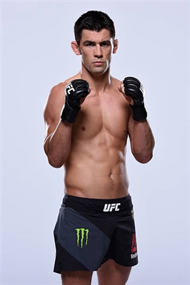 Dominick Cruz poster