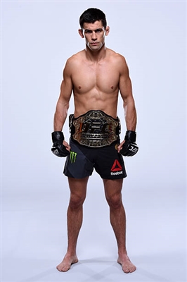 Dominick Cruz poster