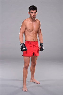 Dominick Cruz poster