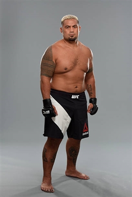 Mark Hunt poster