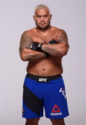 Mark Hunt poster