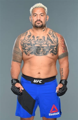 Mark Hunt poster