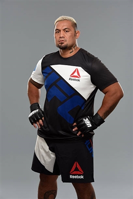 Mark Hunt poster