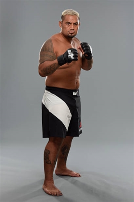 Mark Hunt poster