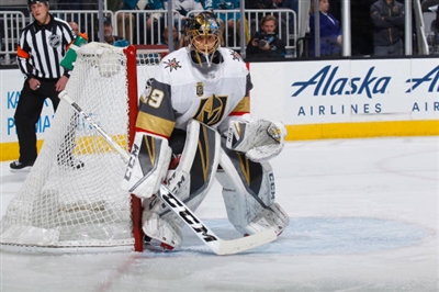 Marc-Andre Fleury poster