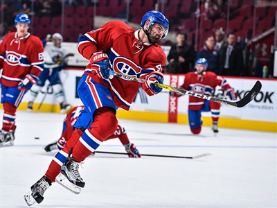 Alexander Radulov poster