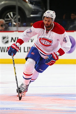 Alexander Radulov poster