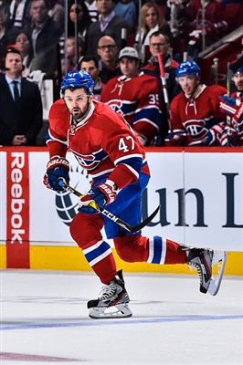 Alexander Radulov poster