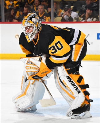 Matt Murray poster