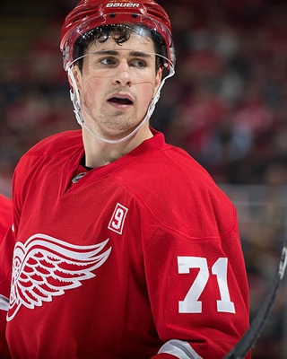 Dylan Larkin poster