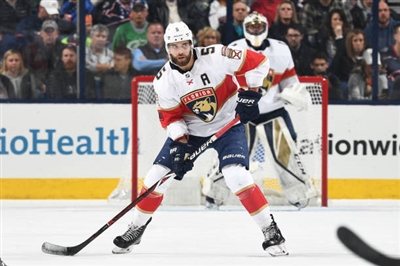 Aaron Ekblad poster