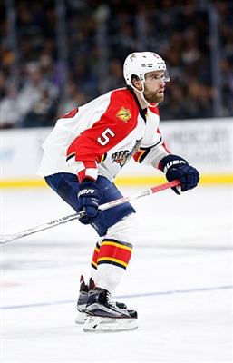 Aaron Ekblad poster