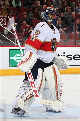 Roberto Luongo poster