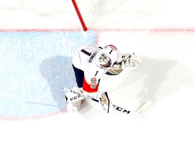 Roberto Luongo poster