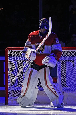 Roberto Luongo poster