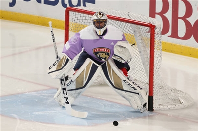 Roberto Luongo poster