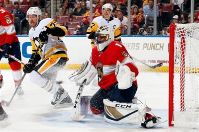 Roberto Luongo poster