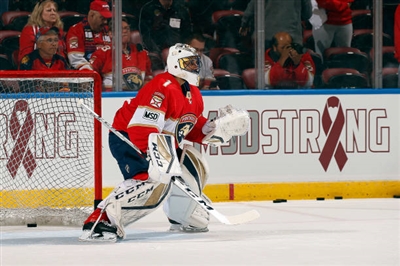 Roberto Luongo poster