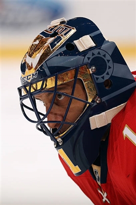 Roberto Luongo poster