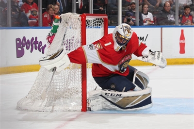 Roberto Luongo poster
