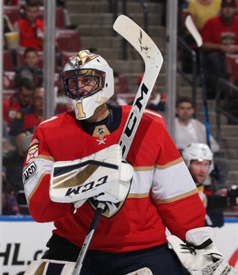 Roberto Luongo poster