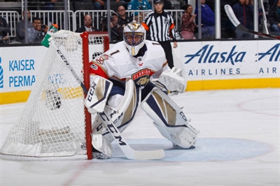 Roberto Luongo poster