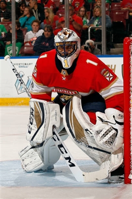 Roberto Luongo poster