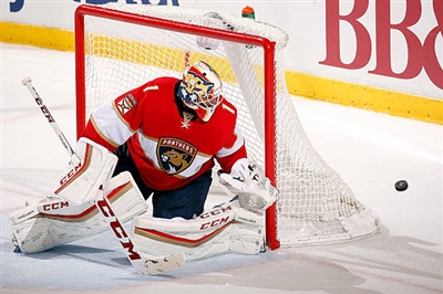 Roberto Luongo poster