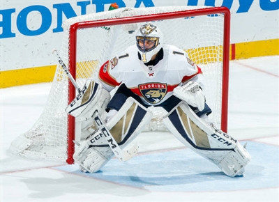 Roberto Luongo poster