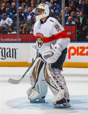 Roberto Luongo poster