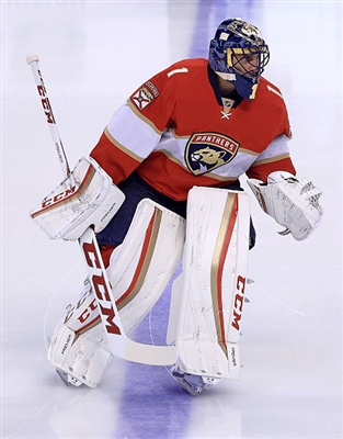 Roberto Luongo poster