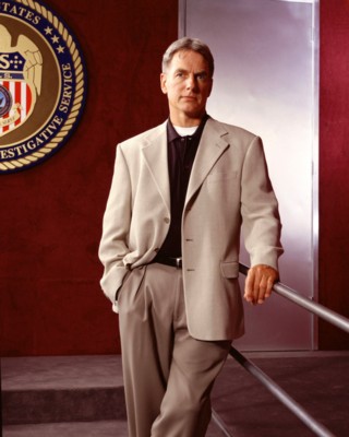 Mark Harmon poster