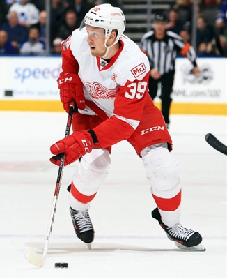 Anthony Mantha poster