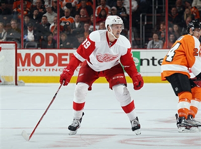 Anthony Mantha poster