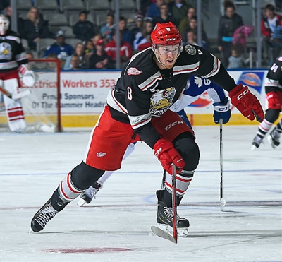 Anthony Mantha poster