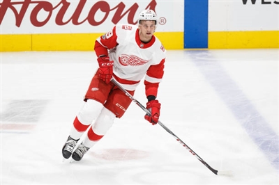 Anthony Mantha poster