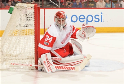 Petr Mrazek poster