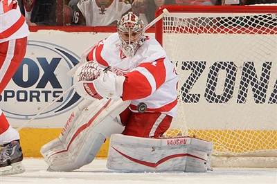 Petr Mrazek poster