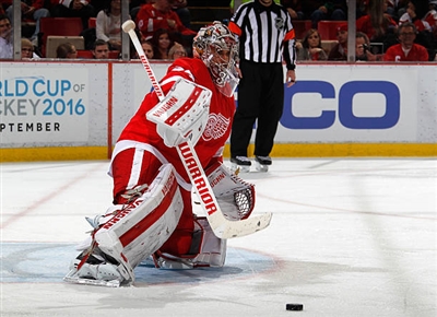 Petr Mrazek poster