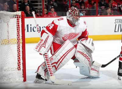 Petr Mrazek poster