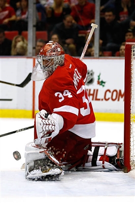 Petr Mrazek poster