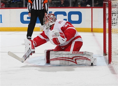 Petr Mrazek poster